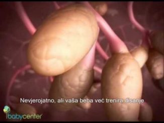 Dokumentarni film: Čudo rođenja