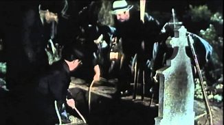 Maratonci trče počasni krug (1982)