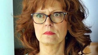 The Meddler (2015)